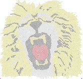 L0010